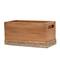 Elegant Designs Mail Script Mail Holder with Handles